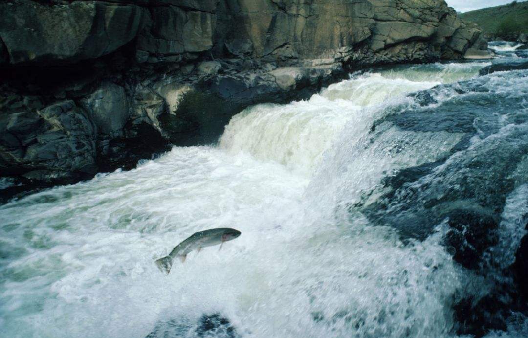 1708741167815139.jpg 2.jpg