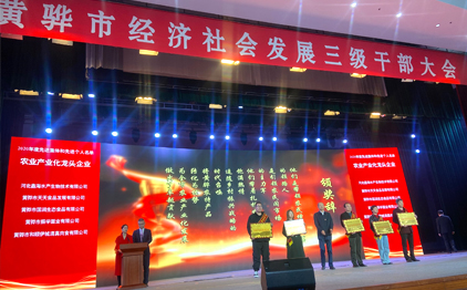 一园芬芳，十分春色