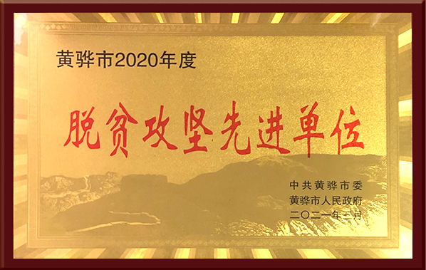 脱贫攻坚先进单位